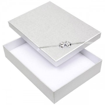 Sieradendoosje zilverkleurig